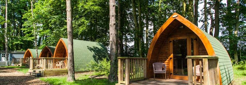 Pinewood glamping pods at Port Lympne Hotel & Reserve in Kent