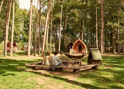 Pinewood glamping pods at Port Lympne Hotel & Reserve in Kent, UK