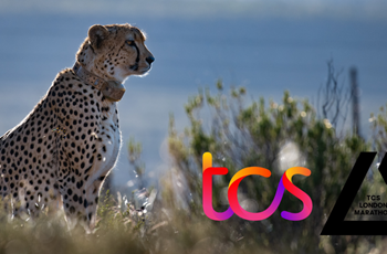 TCS London Marathon 2026