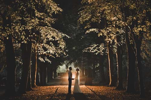 Lime Tree Walk Wedding