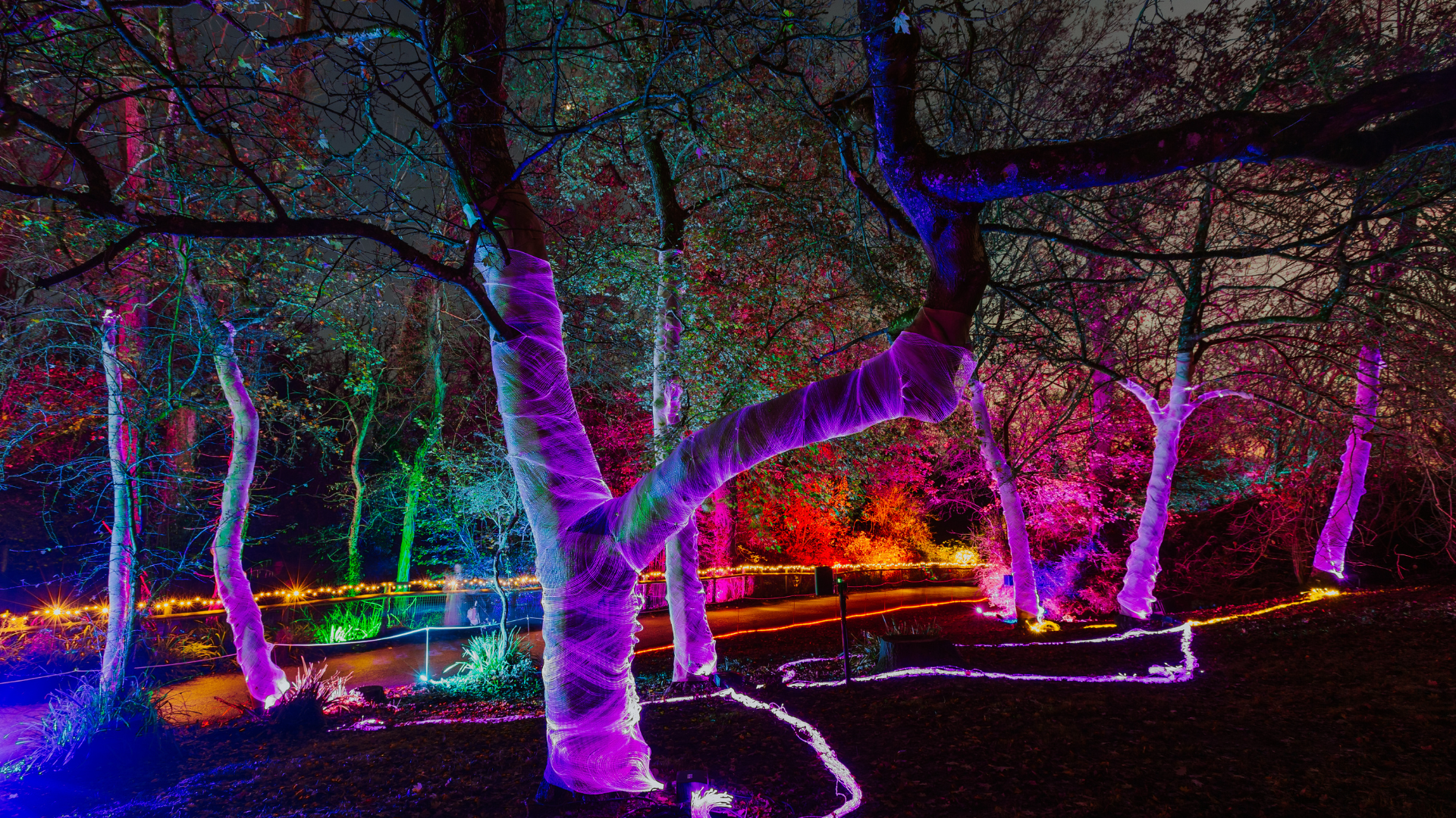 Christmas at Port Lympne