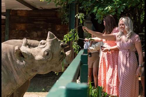 Gusbourne Wedding Drink