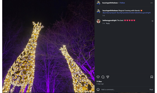 Giraffe Illumination at Port Lympne