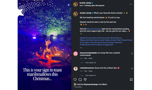 Toasting Marshmallows