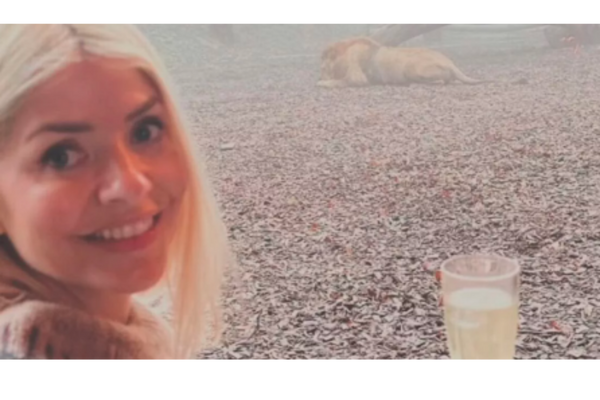 Celebrity Guest Stay