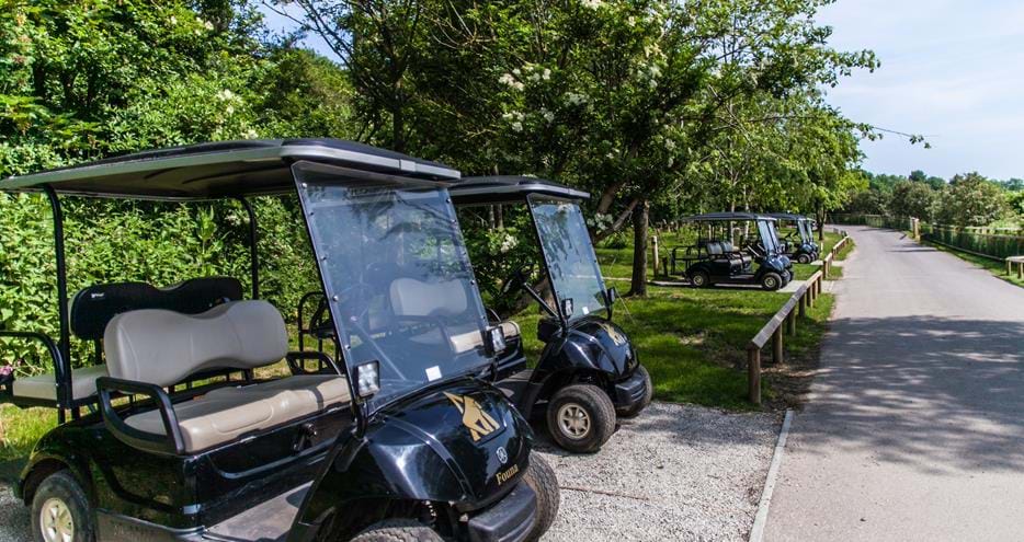 Your stay at Treehouse Hotel, Port Lympne Reserve, includes the use of your own personal golf buggy