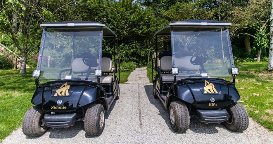 Your personal golf buggy comes with its own parking space below your Treehouse Suite at Port Lympne Reserve, Kent