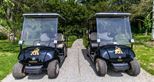 Your personal golf buggy comes with its own parking space below your Treehouse Suite at Port Lympne Reserve, Kent