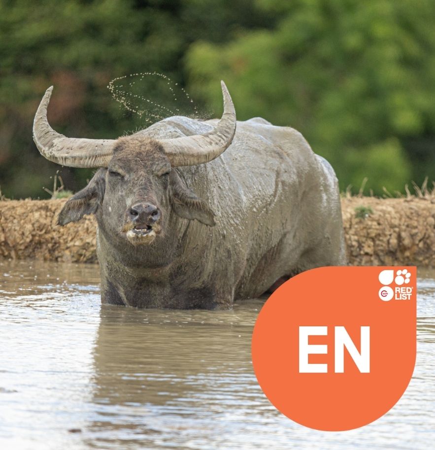 Untitled (1000 x 800 px) (8).jpg
