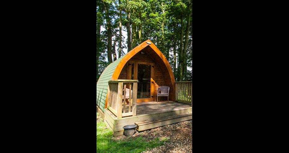 Pinewood at Port Lympne Hotel & Reserve, glamping in Kent