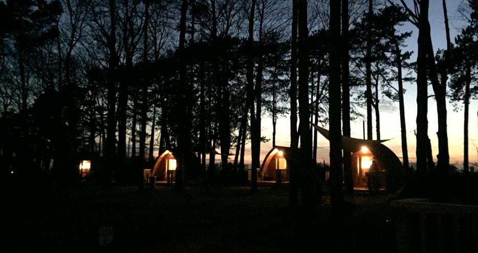 Glamping short breaks at Pinewood pods at Port Lympne Hotel & Reserve in Kent