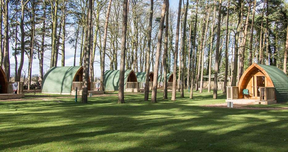 Pinewood glamping pods at Port Lympne Hotel & Reserve in Kent