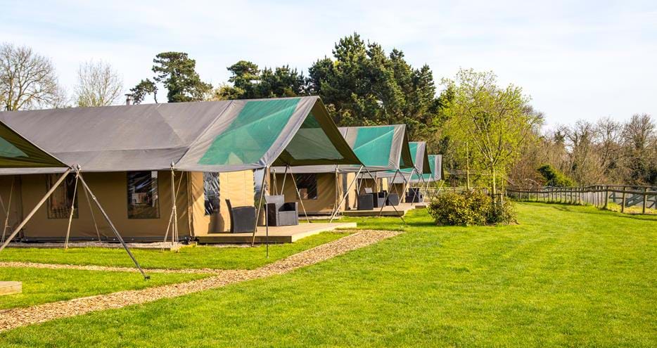Glamping short breaks in Kent at Bear Lodge at Port Lympne Hotel & Reserve