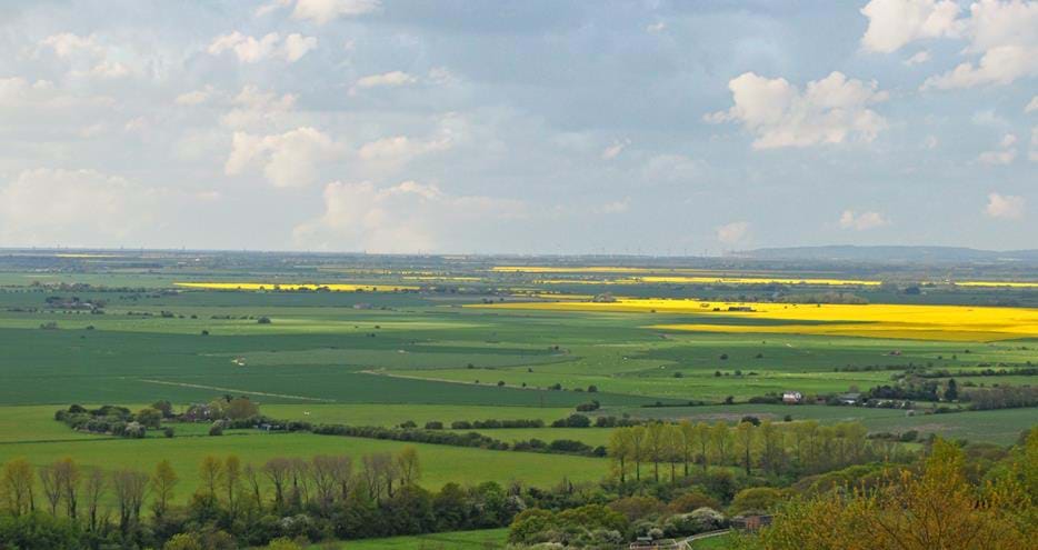 Your short break at Port Lympne Hotel & Reserve in Kent includes stunning views