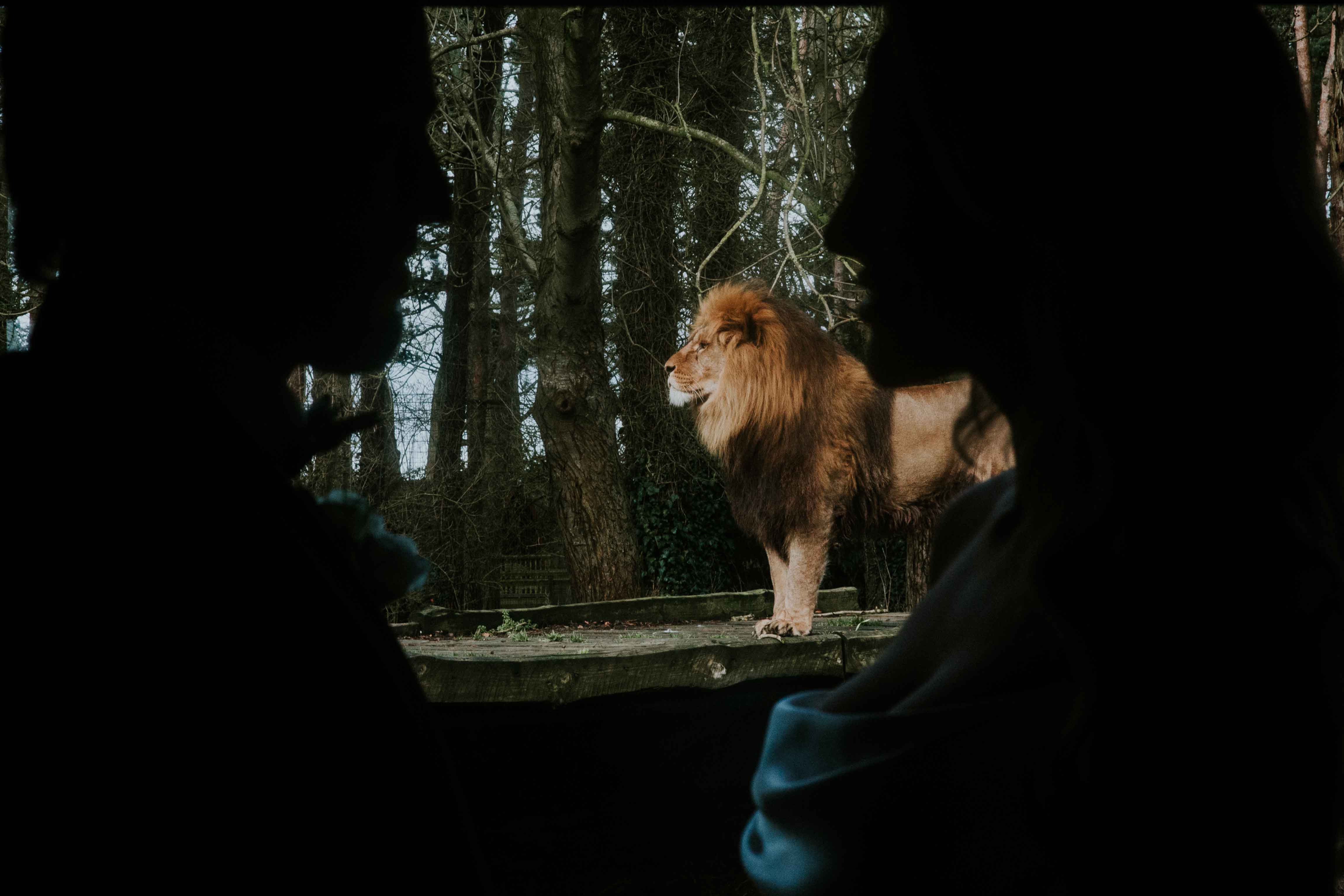 Wedding stays at Port Lympne Hotel & Reserve in Kent