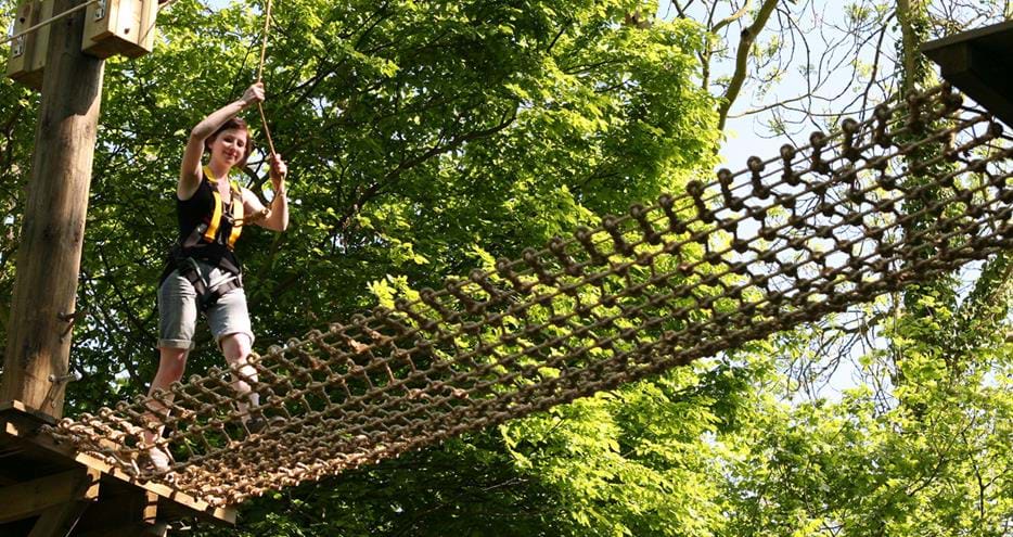 Treetop Challenge at Howletts Wild Animal Park in Kent