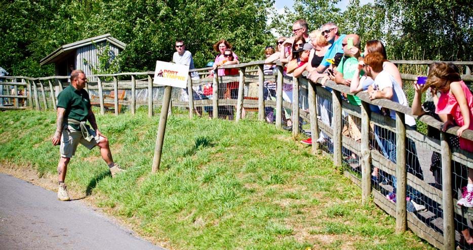 One of our expert rangers gives a talk to visitors at Port Lympne Hotel & Reserve in Kent