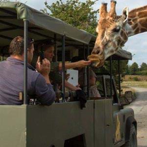 On Safari at Port Lympne Hotel & Reserve in Kent