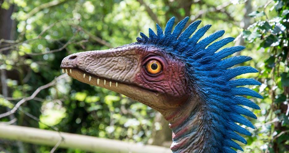 Coelophysis in Dinosaur Forest at Port Lympne Hotel & Reserve in Kent