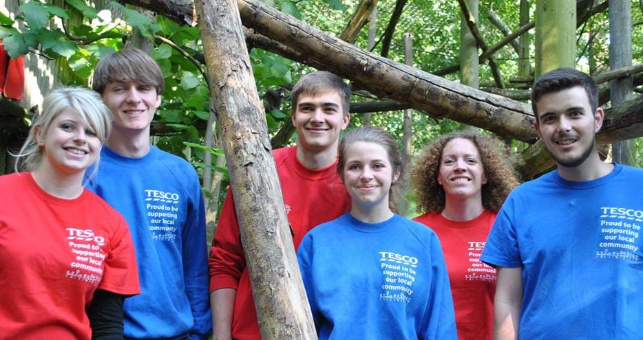 Corporate volunteer group from Tesco at The Aspinall Foundation