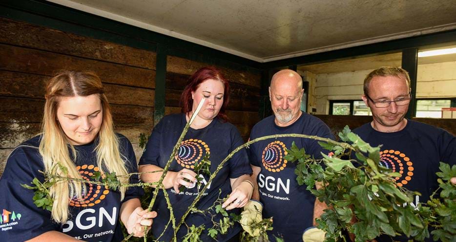Corporate volunteer from SGN at The Aspinall Foundation in Kent