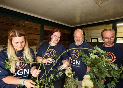 Corporate volunteer from SGN at The Aspinall Foundation in Kent