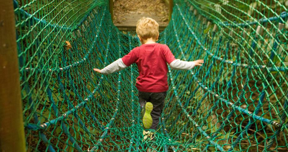 Animal Adventure Challenge at Howletts Wild Animal Park in Kent