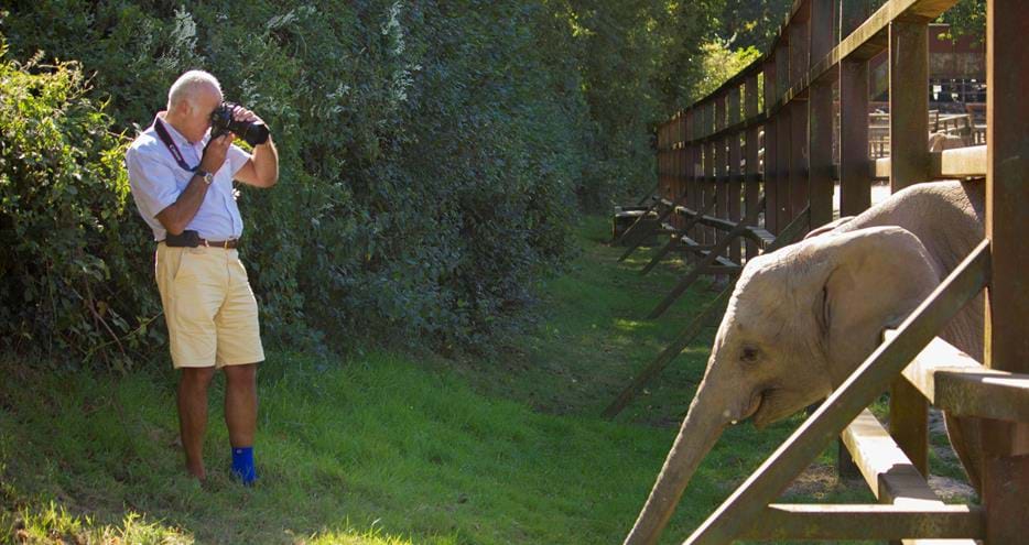 Wildlife Photography Course at Howletts Wild Animal Park in Kent