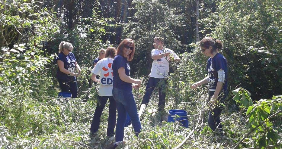 Leaf picking volunteers at The Aspinall Foundation's Port Lympne Reserve in Kent