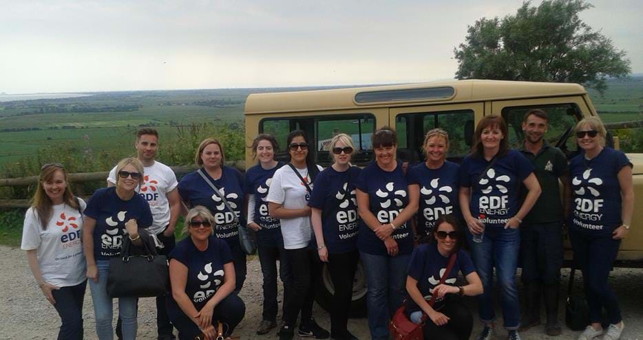 Leaf picking volunteers at The Aspinall Foundation's Port Lympne Reserve in Kent