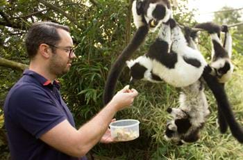 Primate Keeper Internship