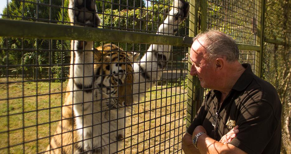 Animal Encounters - Feed Your Favourite Animal At Howletts | The Aspinall Foundation Animal Encounters - Feed Your Favourite Animal At Howletts | The Aspinall Foundation