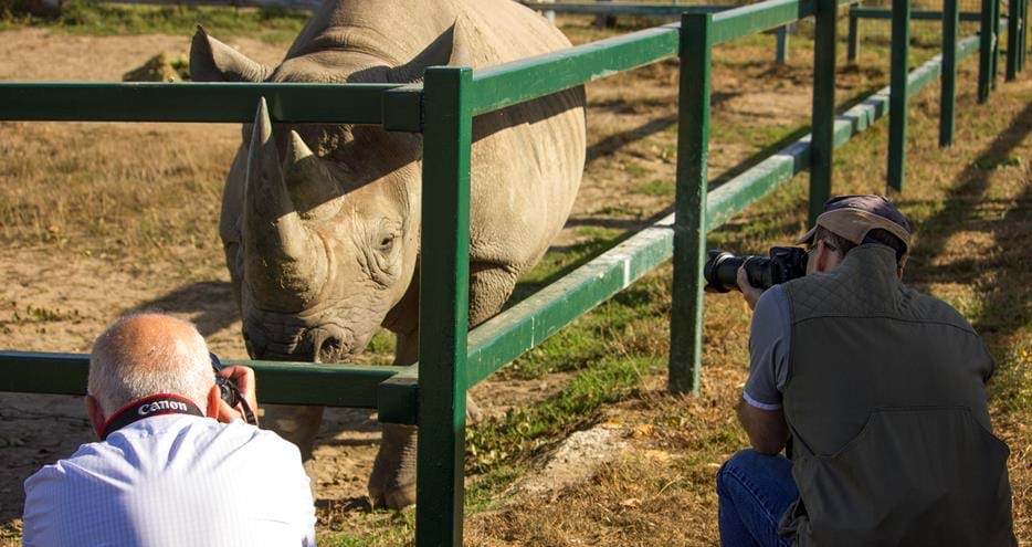 Wildlife photography course at Howletts Wild Animal Park in Kent
