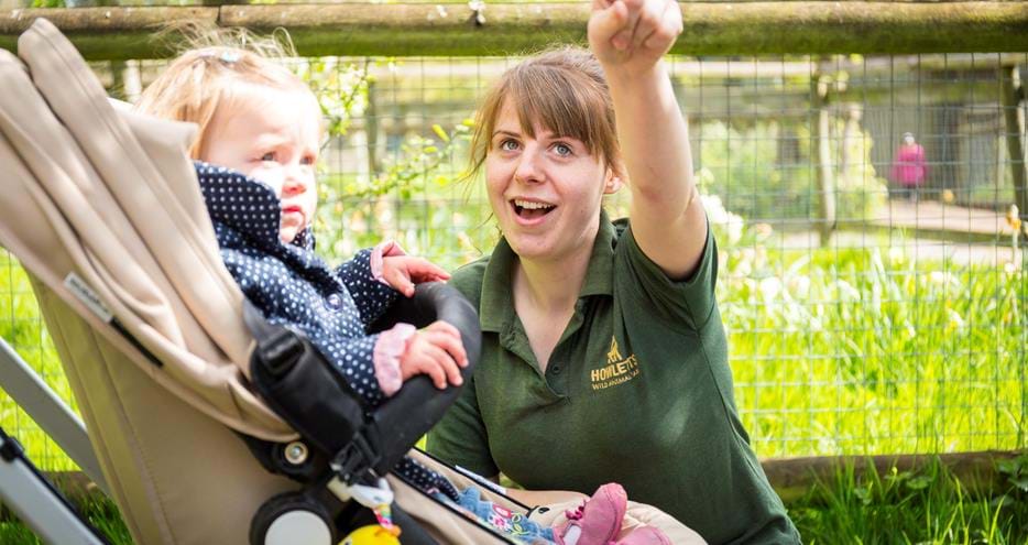 Family guided tour at Howletts Wild Animal Park in Kent
