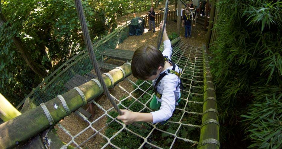 The first obstacle, Treetop Challenge at Howletts Wild Animal Park in Kent