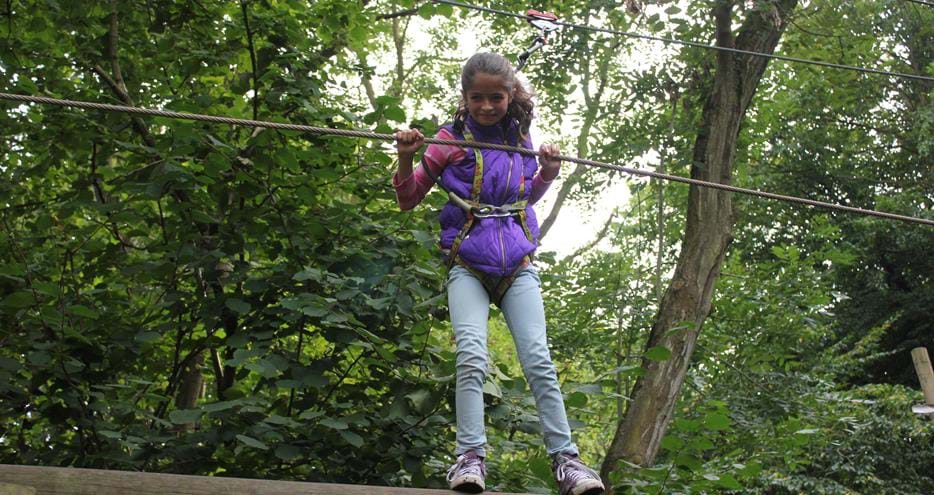 Treetop Challenge at Howletts Wild Animal Park in Kent