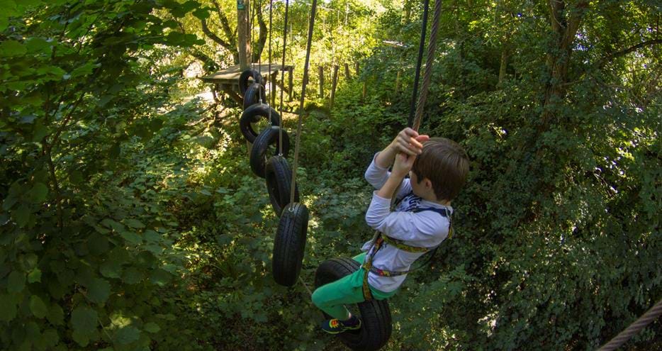 Treetop Challenge at Howletts Wild Animal Park in Kent
