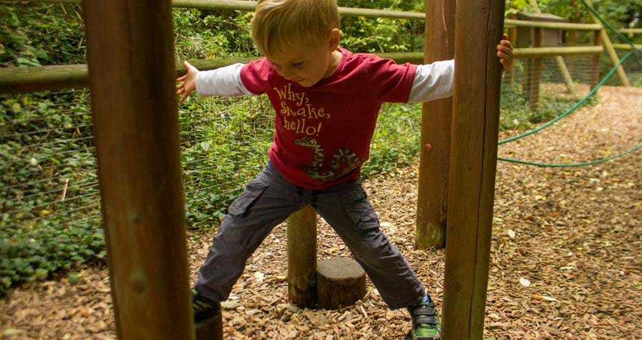 Animal Adventure Challenge at Howletts Wild Animal Park in Kent