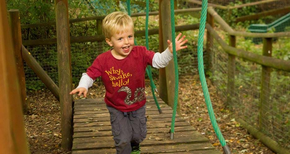 Animal Adventure Challenge at Howletts Wild Animal Park in Kent