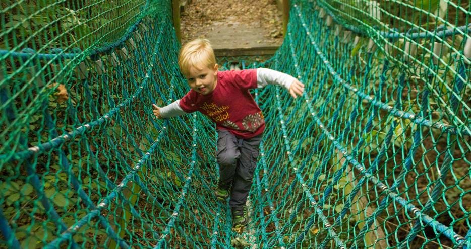 Animal Adventure Challenge at Howletts Wild Animal Park in Kent