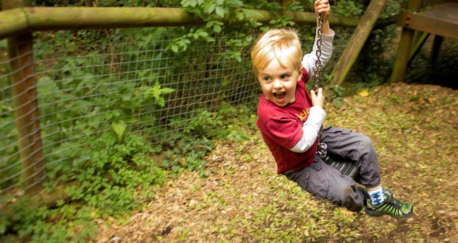 Animal Adventure Challenge Zip Line at Howletts Wild Animal Park in Kent