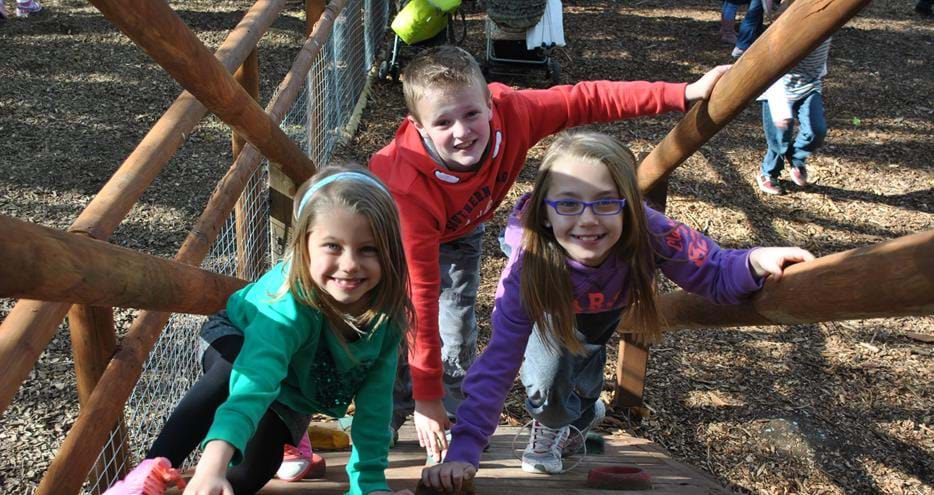 Animal Adventure Challenge at Howletts Wild Animal Park in Kent