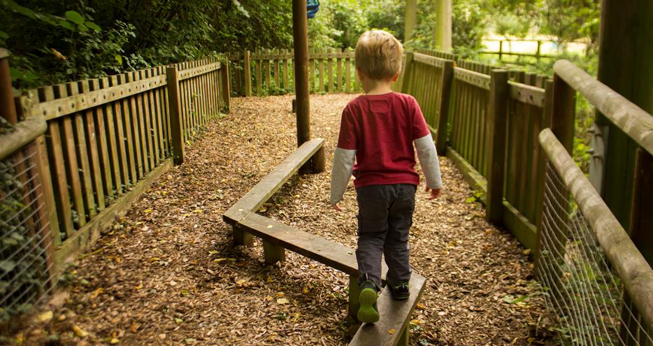 Animal Adventure Challenge at Howletts Wild Animal Park in Kent