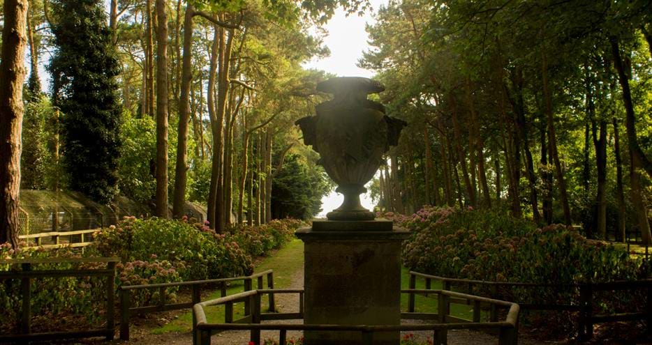 The Hydrangea Walk at Port Lympne Hotel & Reserve in Kent