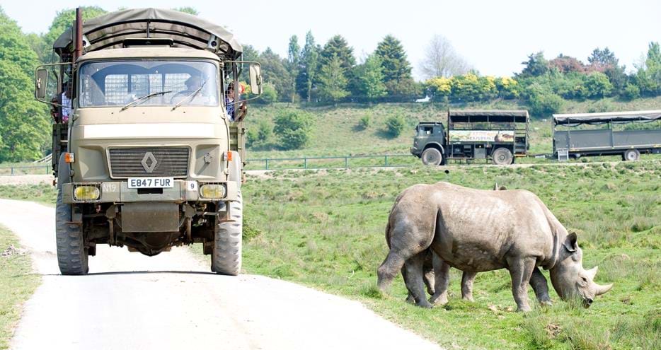 Get close to wild animals on safari at Port Lympne Hotel & Reserve in Kent