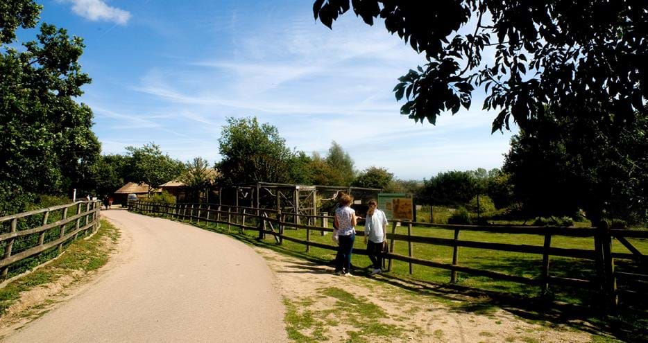Explore the many walks and wooded pathways at Port Lympne Hotel & Reserve in Kent