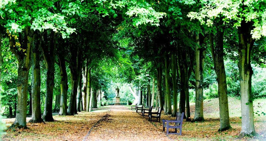The Lime Walk in the Port Lympne Hotel Gardens in Kent