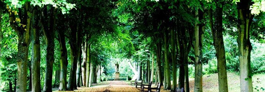The Lime Walk in the Port Lympne Hotel Gardens in Kent