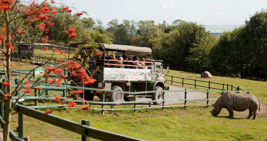 Get close to wildlife on safari at Port Lympne Hotel & Reserve in Kent