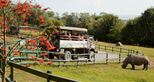 Get close to wildlife on safari at Port Lympne Hotel & Reserve in Kent